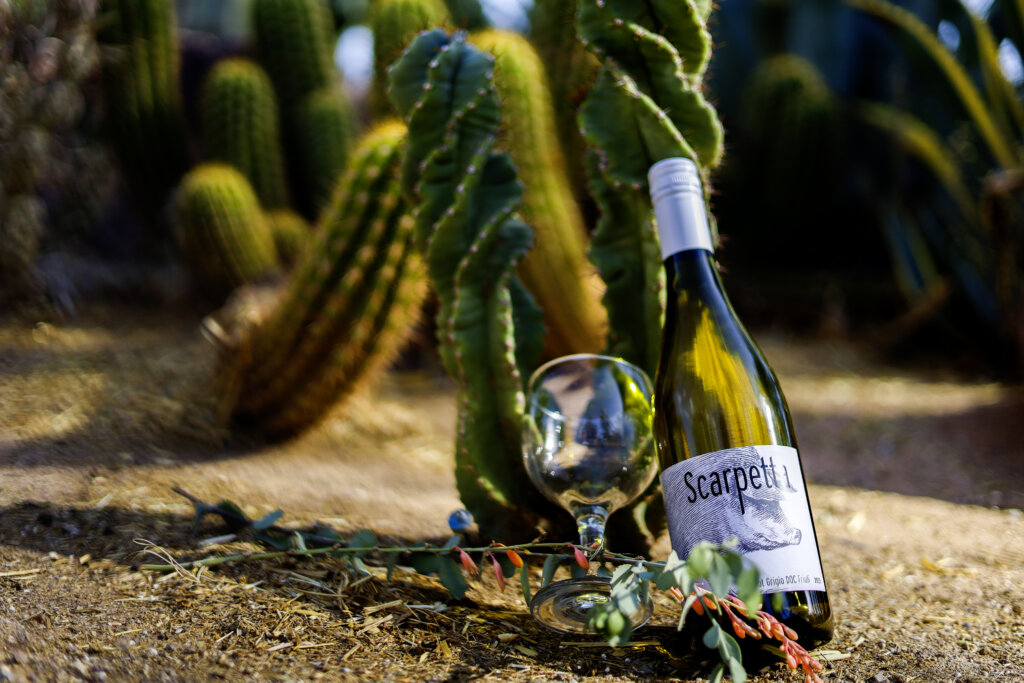 White wine bottle and wine glass leaning against a juvenile totem pole cactus, with a desert scene in the background.
